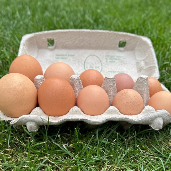 eggs